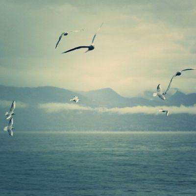 尊龙人生就是博登录