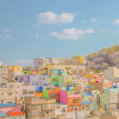 澳门正版资料大全app下载