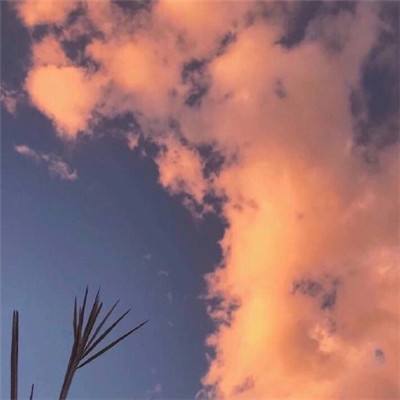 华体育下载手机版