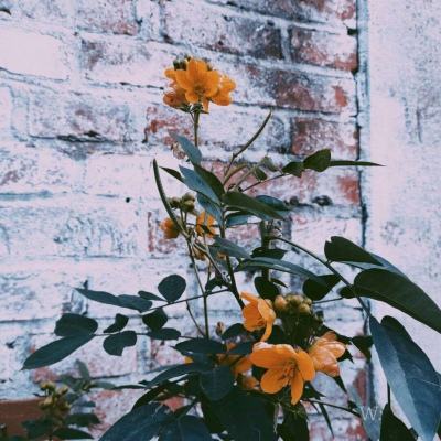 大小单双正规平台下载