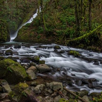 天天中彩票app下载