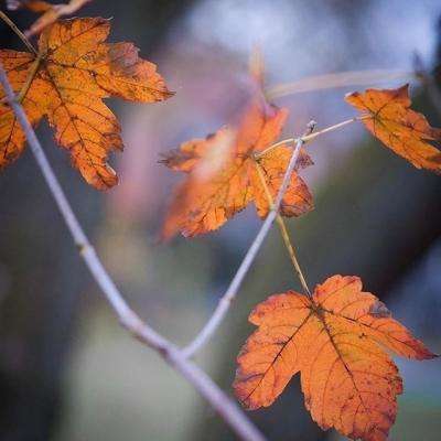 江南APP体育官方网站